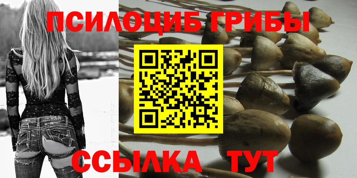 Надым  Псилоцибиновые грибы ЛСД  Вход с VPN 