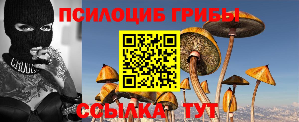 Галлюциногенные грибы ЛСД Надым